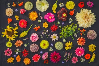 The Edible Garden by Huw Richards | Substack