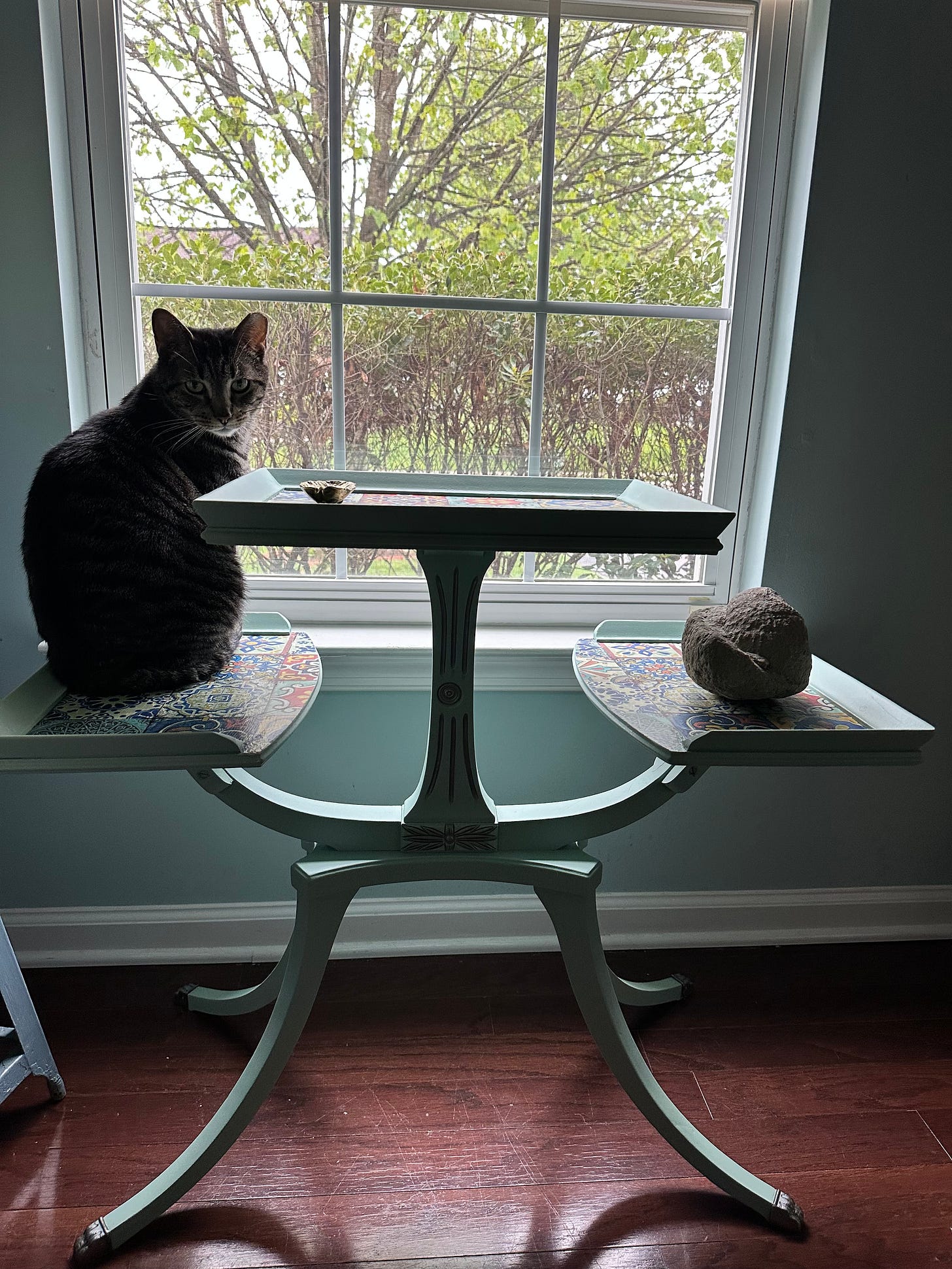 cat on a decorative table by a window