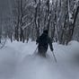 Craig peters's avatar