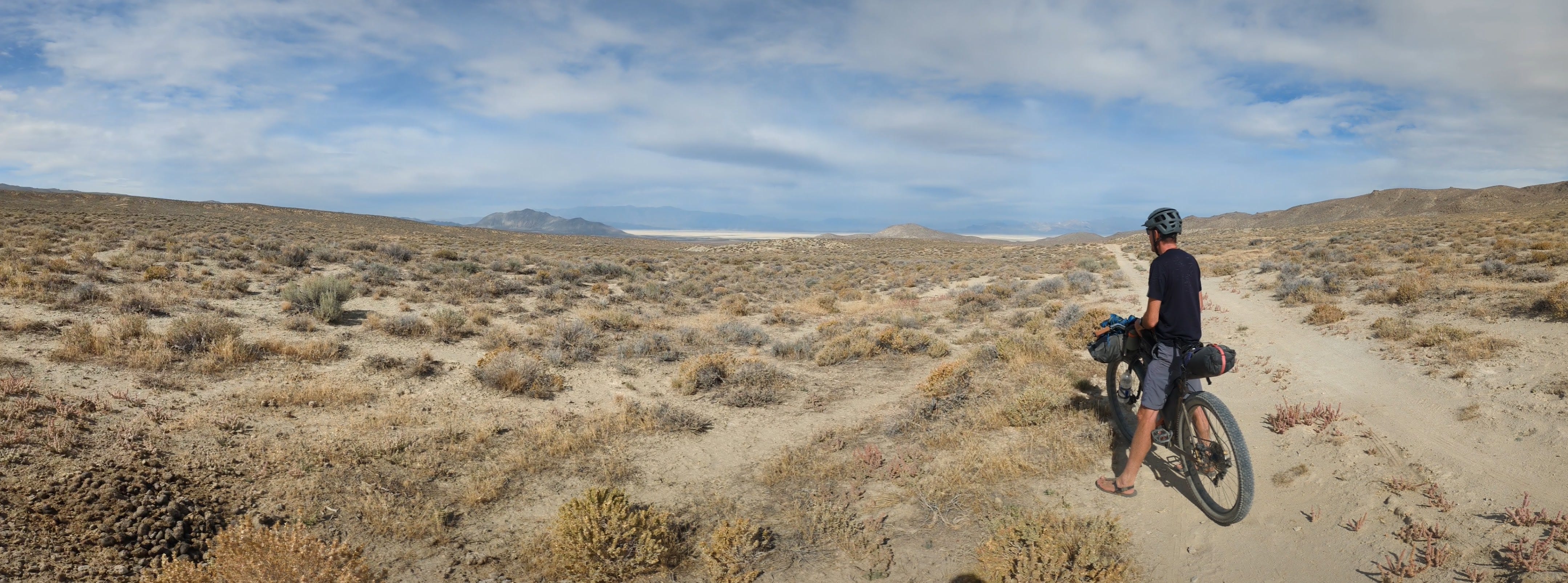 Great Basin's Natural History, Flora and Biogeography