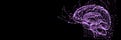 Synaptic Letters