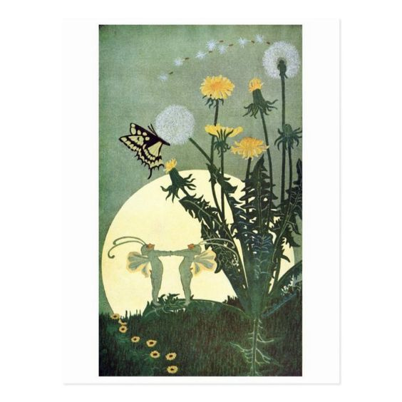 carousel image 0