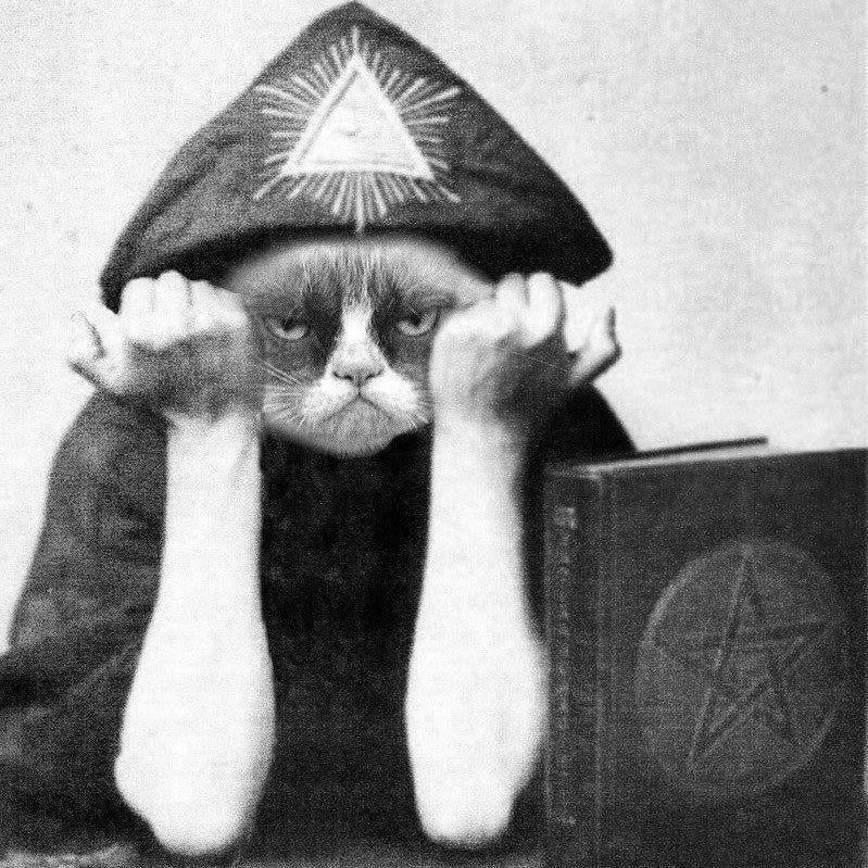 Grumpy Cat Crowley. (via http://www.thecontrarianmedia.com/) | Humor  inappropriate, Harry potter funny pictures, Grumpy cat