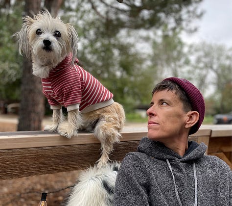 Photo 1: A small fluffy dog, Squash Gibson with windswept fur pokes its head out of a bright green dog backpack, enjoying the ride as Andrea Gibson in a striped shirt and purple beanie walks through an open landscape under a dramatic sky. Photo 2: Andrea Gibson in a gray hoodie and maroon beanie looks up at a small dog, Squash Gibson, in a red-and-white striped sweater sitting on a wooden fence, with trees softly blurred in the background. Photo 3: Andrea Gibson wearing a mustard yellow shirt holds a small scruffy dog. Squash Gibson, in a pink harness, kissing the dog’s face in a wide open field under a dramatic, partly cloudy blue sky.