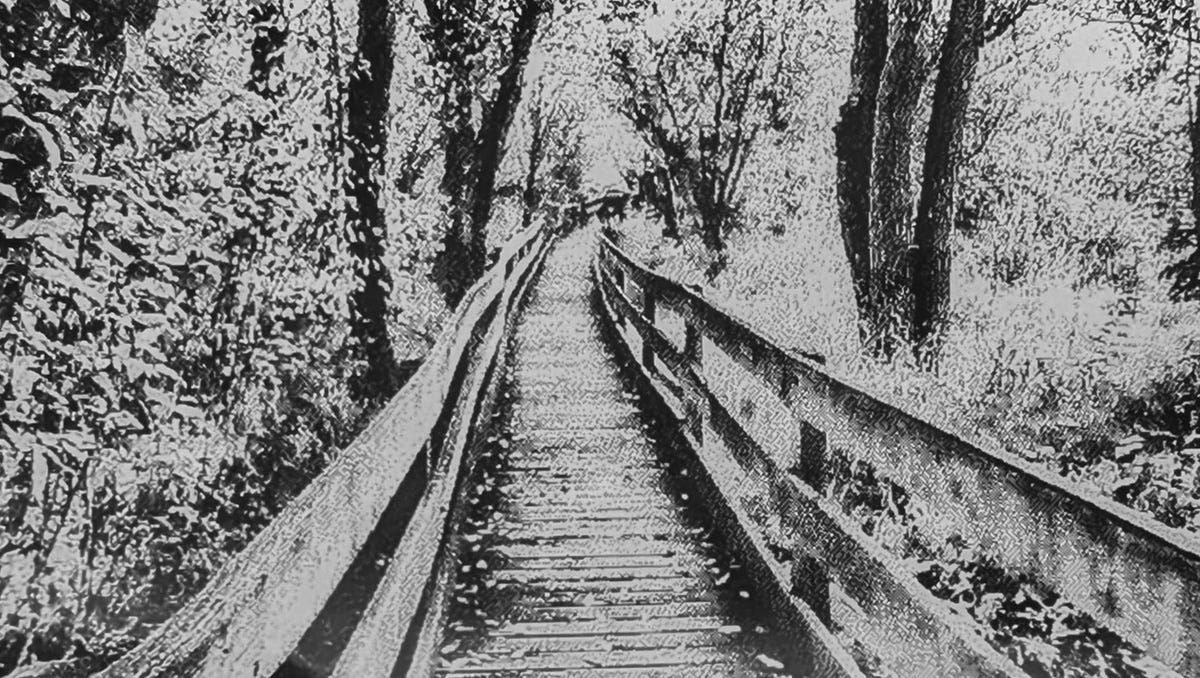 Thermal Paper Camera Photography - The Retroist