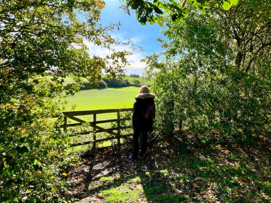 Woman in hooded jacket standing at wooden fence with bushes all around and looking over the fence into a field of green grass with a blue cloud sky above that Woman in hooded jacket standing at wooden fence with bushes all around and looking over the fence into a field of green grass with a blue cloud sky above that