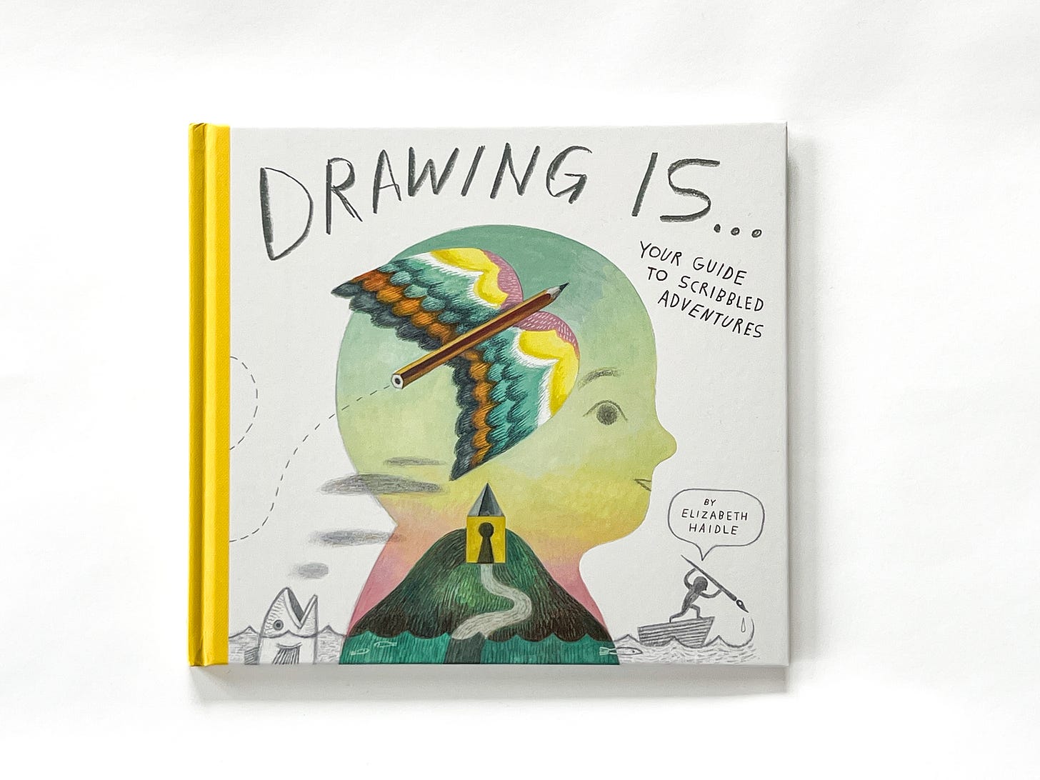 cover of book Drawing Is...