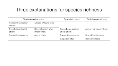 A table titled "What explains patterns of species richness?" with three colulmns of explanations, one of which is split into two sub-headings.