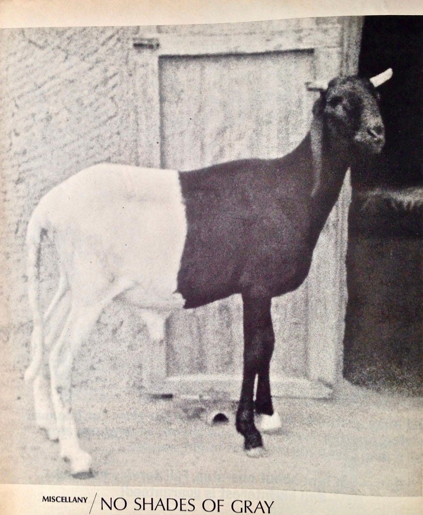 JpP+K2tkQ2WFxUczx3+TwQ_thumb_d046.jpg JpP+K2tkQ2WFxUczx3+TwQ_thumb_d046.jpg