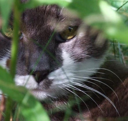 News from Carol Joy Munro 