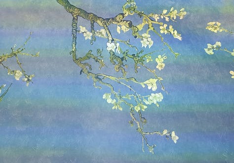 Van Gogh 360