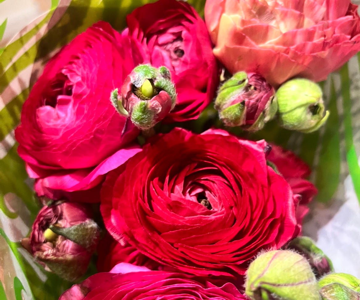 Artwork for Onome’s Substack