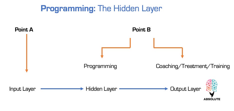 The Hidden Layer: Programming