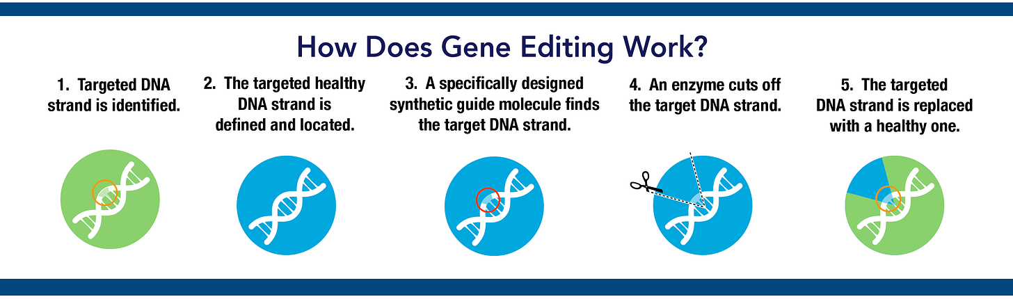 Producer Shares Views on Gene Editing - Pork Checkoff