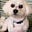 Nancy Munson's avatar