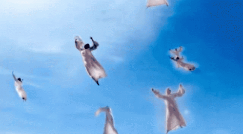 a group of people are flying through a blue sky with their arms outstretched