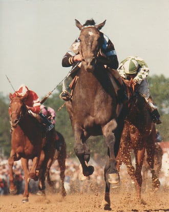 Spectacular Bid during a race.