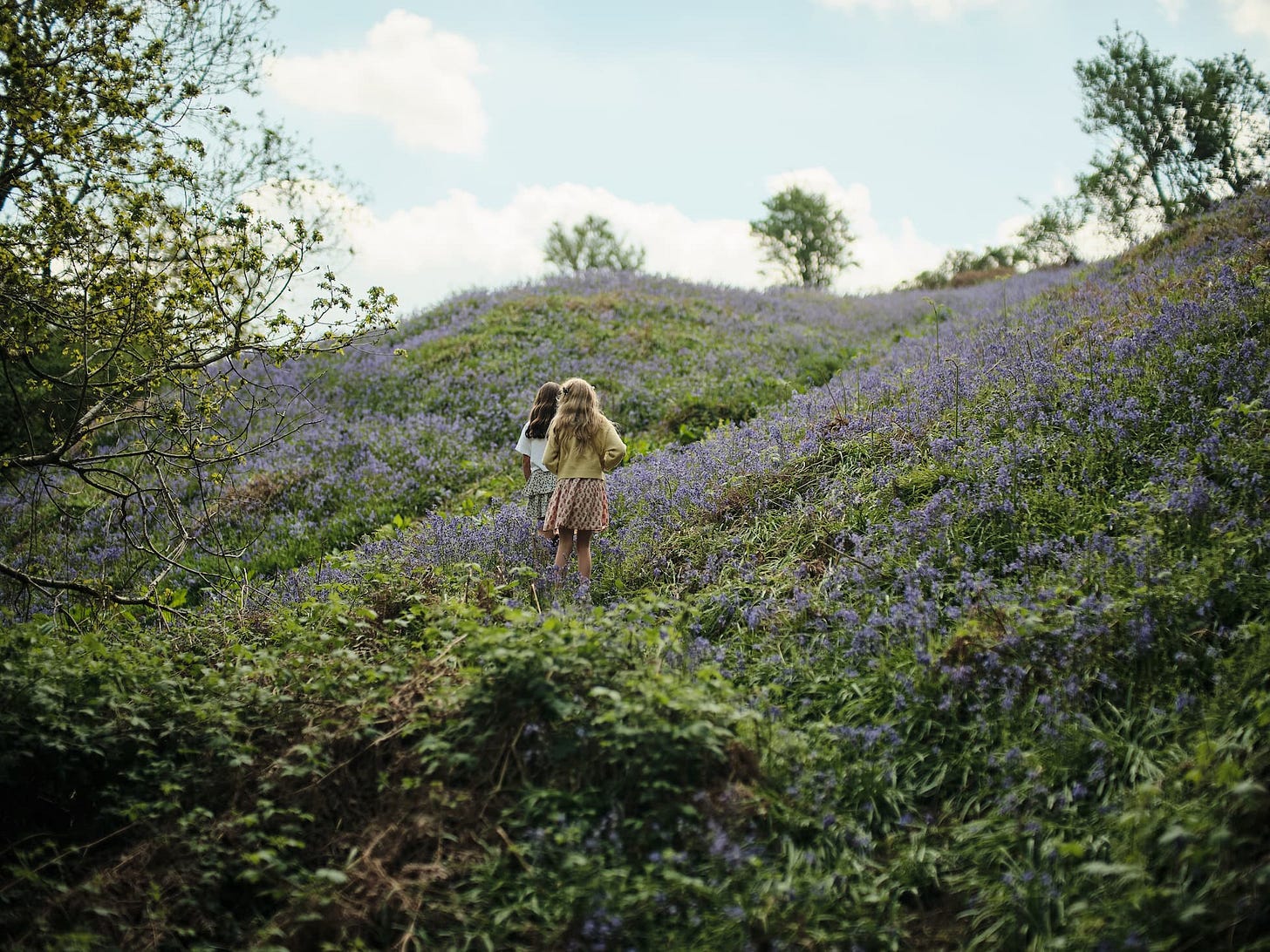 Our daighter Lily and her friend walking through a hill of bluebells