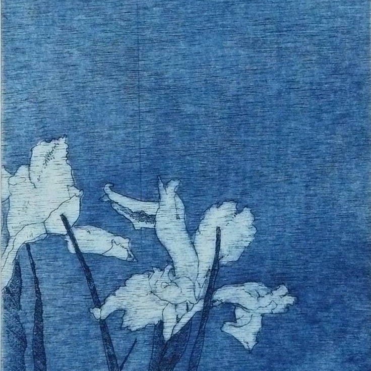 This may contain: two white flowers are in the middle of a blue background, with one flower still attached to it's stem
