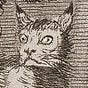 Shalf's avatar