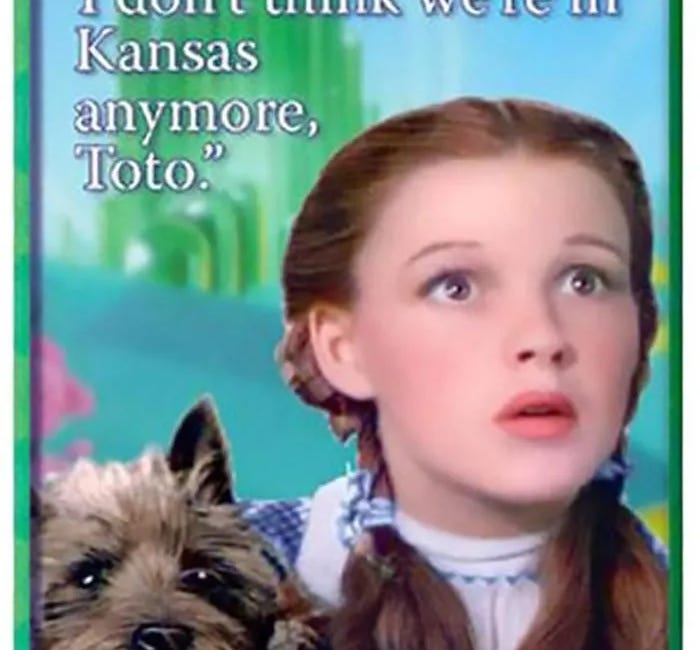 Scania Doctrine: Cases EDPS vs SRB, Scania, IAB Europe, OC/Comisión. (I)