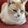 Kristine Ann Fletcher's avatar