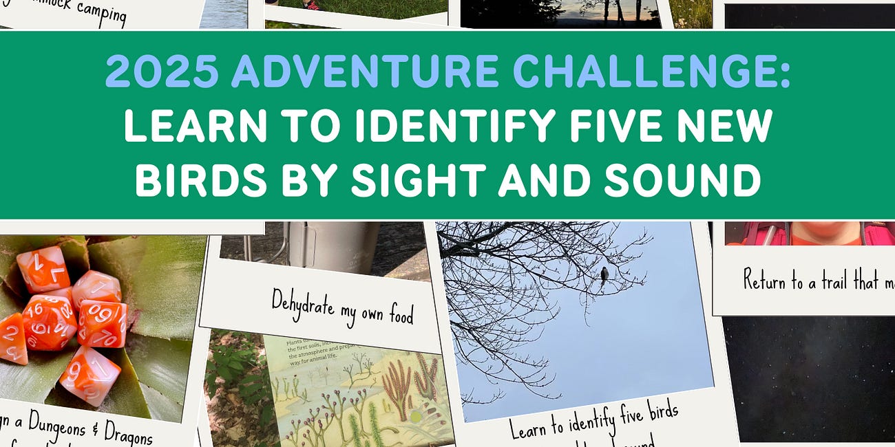 Birding in the Blue Hills