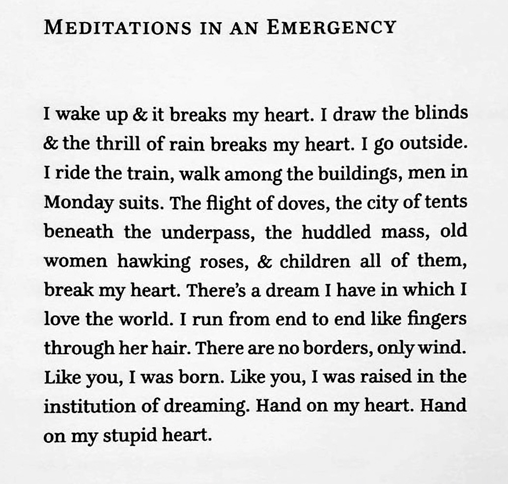 Meditations in an emergency: I wake up & it breaks my heart. I draw the blinds & the thrill of rain breaks my heart. I go outside. I ride the train, walk among the buildings, men in Monday suits. The flight of doves, the city of tents beneath the underpass, the huddled mass, old women hawking roses, & children all of them, break my heart. There’s a dream I have in which I love the world. I run from end to end like fingers through her hair. There are no borders, only wind. Like you, I was born. Like you, I was raised in the institution of dreaming. Hand on my heart. Hand on my stupid heart.