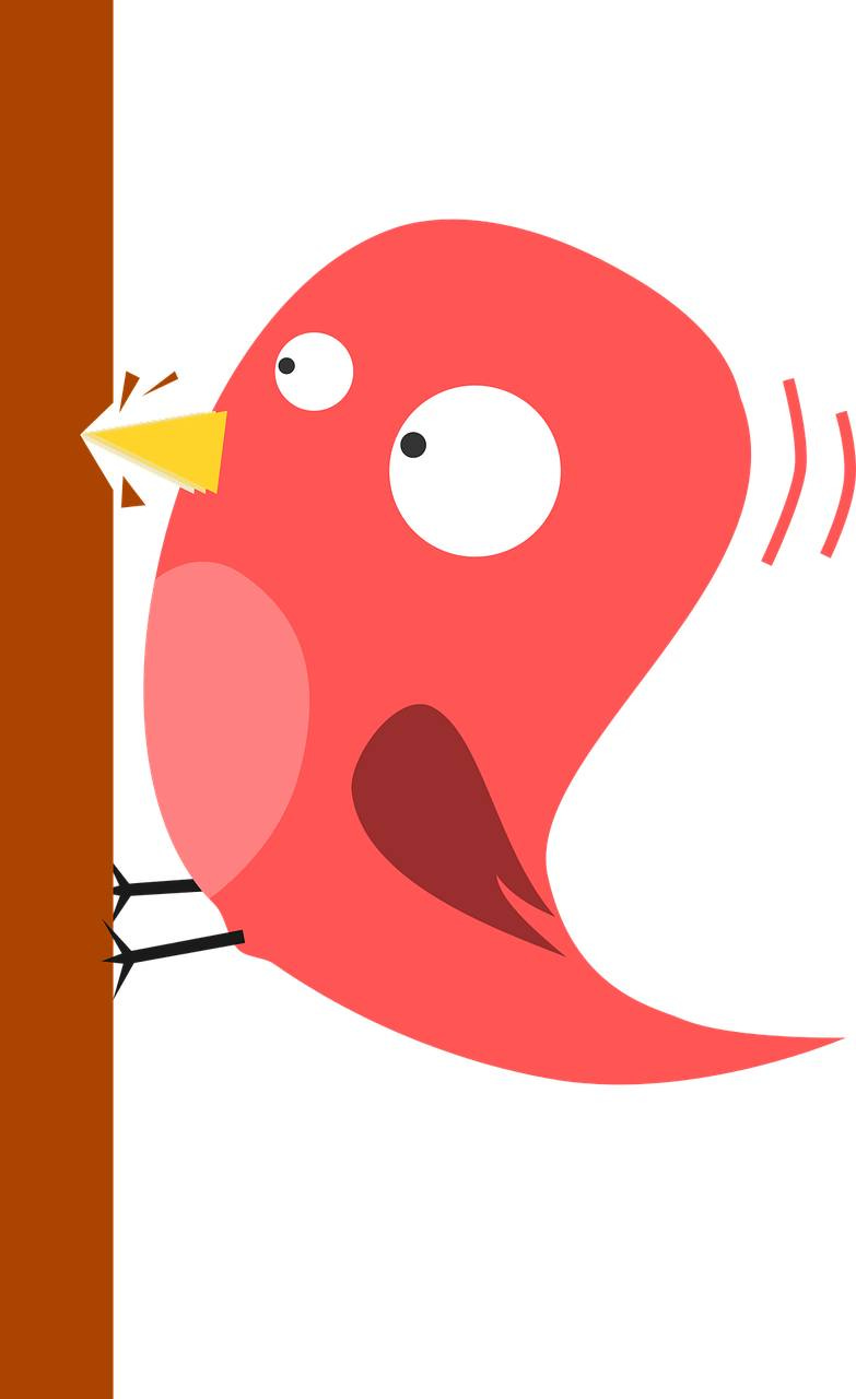 May be a doodle of parrot May be a doodle of parrot