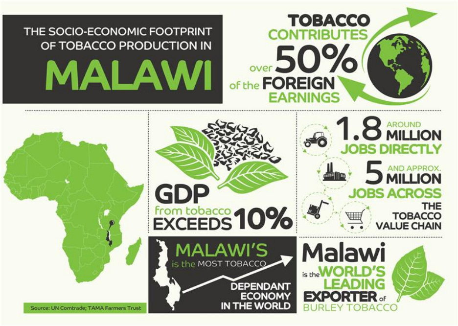2FIRSTS | 2Firsts Interview | Malawi's Economic Engine: TAMA Farmers Trust  CEO Reflects on the Current Marketing Season and Malawi's Heavy Tobacco  Dependence