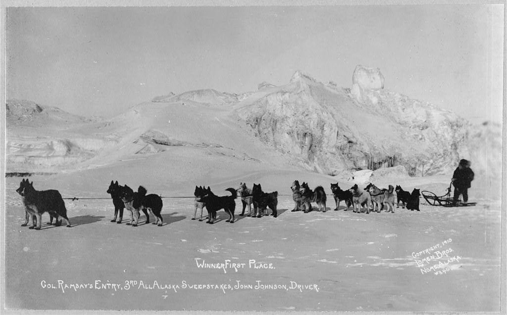 Musher John Johnson in a 1910 photo with his winning team of Huskies in the third All Alaska Sweepstakes race.