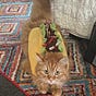 Kitty's avatar