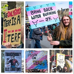 THE POLITICS OF GENDER