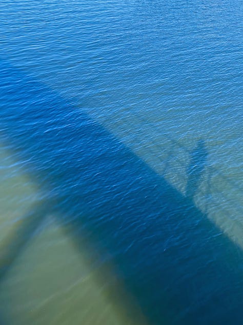 Three photographs including my shadows by water and a reflection in a car wing mirror