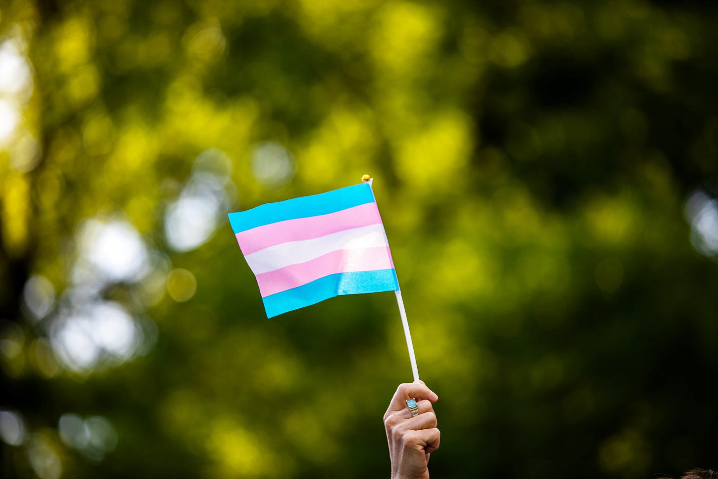 Transgender rights activist waves a transgender flag as they protest the killings of transgender women this year, at a rally in Washington Square Park Transgender rights activist waves a transgender flag as they protest the killings of transgender women this year, at a rally in Washington Square Park