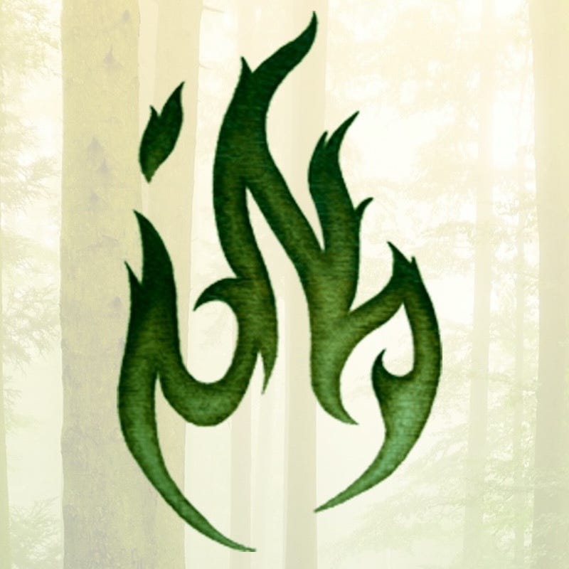 Whispers from the Finnish Forest