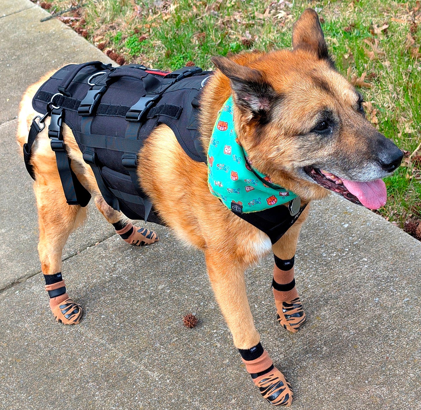 Athena, with her tacticool vest that has straps and grab points to help us hold her up. And her neat tiger strip grippy socks
