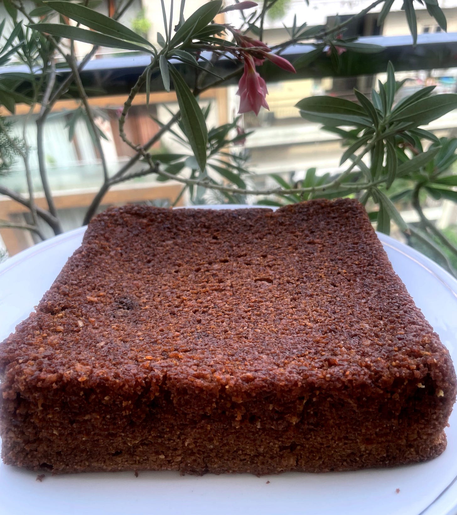 A brownish, rectangular cake sits on a white base.