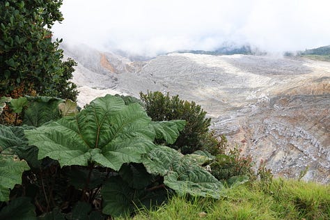 Top left shows the teal green/blue of a volcanic lake surrounded by an open crater with jungle mountains with mist in the distance. Middle top image shows the safety message for volcanic activity shelter. Top right shows the large green leaves of a plant edging the open crater of an active volcano. Middle left shows a sign in what to do in the case of volcanic activity. Middle image shows the author with the Poas Volcano crater and sulphuric acid lake in the background. Middle right shows the author with camera slung over one shoulder, a rain jacket on in front of a waterfall with a smaller waterfall in the background. The bottom left shows a cascading waterfall in the midst of thick jungle. Bottom middle shows a jaguar asleep on a log with both legs slung over each side of the log. The bottom right image shows a 'owl-eye' moth with wings up and the eye visible in the bottom right of the wing facing the camera. The moth is resting on a green leaf