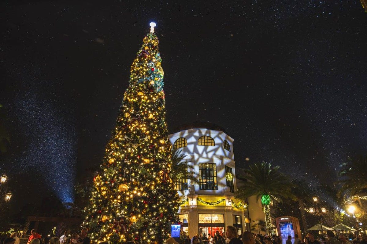 The Town Center Christmas tree at Disney Springs. Image: Disney/Mariah Wild The Town Center Christmas tree at Disney Springs. Image: Disney/Mariah Wild