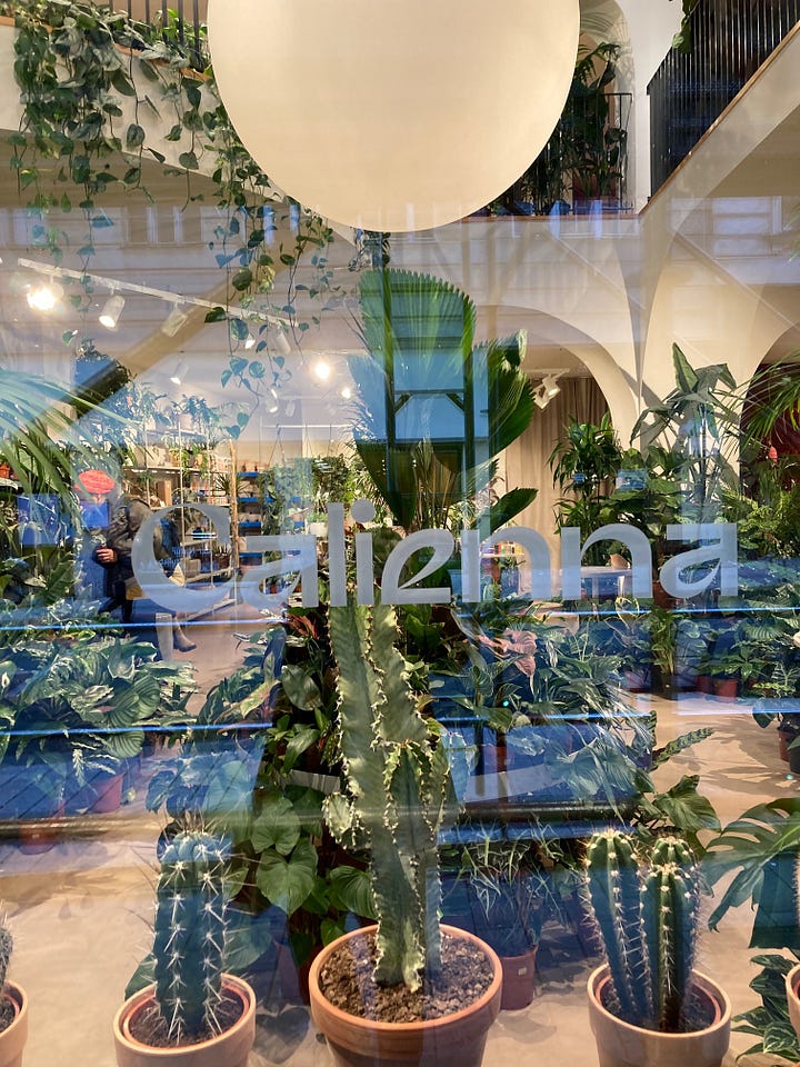 Calienna is a shop, cafe and event space in Vienna