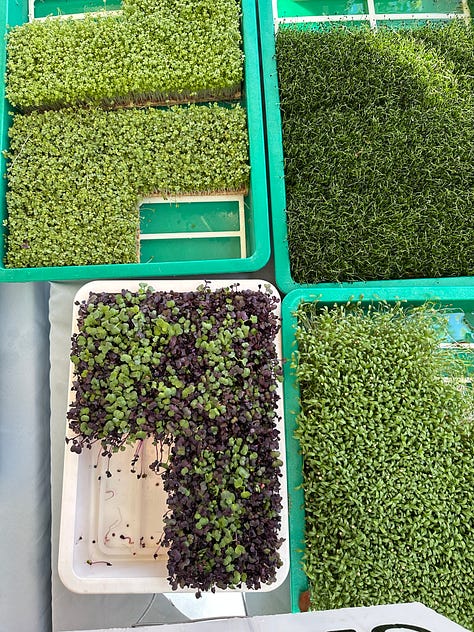 The tastes of farmers' markets in Miami