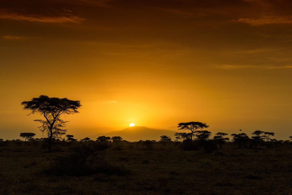 African sunrise, Ndutu, Tanzania, East Africa | African sunr… | Flickr