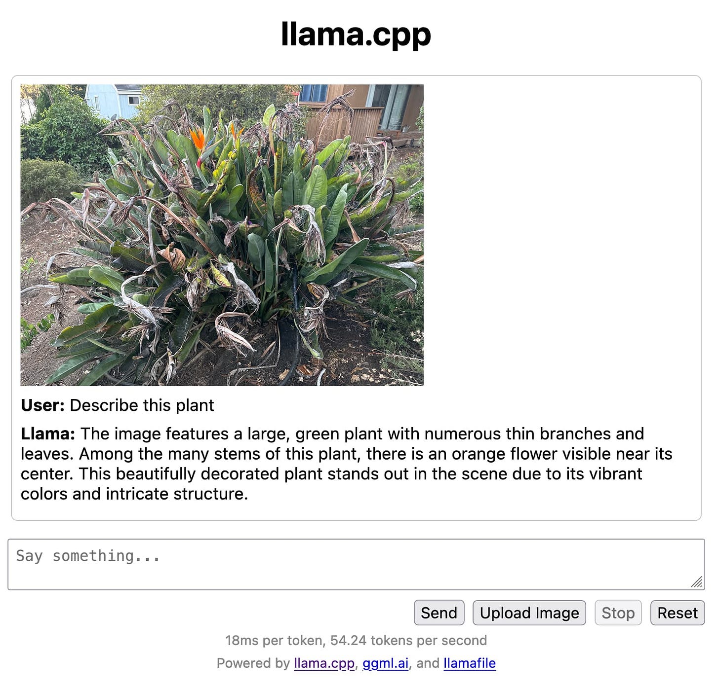 Screenshot. llama.cpp - then a photo I took of a plant

User: Describe this plant

Llama: The image features a large, green plant with numerous thin branches and leaves. Among the many stems of this plant, there is an orange flower visible near its center. This beautifully decorated plant stands out in the scene due to its vibrant colors and intricate structure.

18ms per token, 54.24 tokens per second
Powered by llama.cpp, ggml.ai, and llamafile