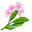 Suzanne Harkins's avatar