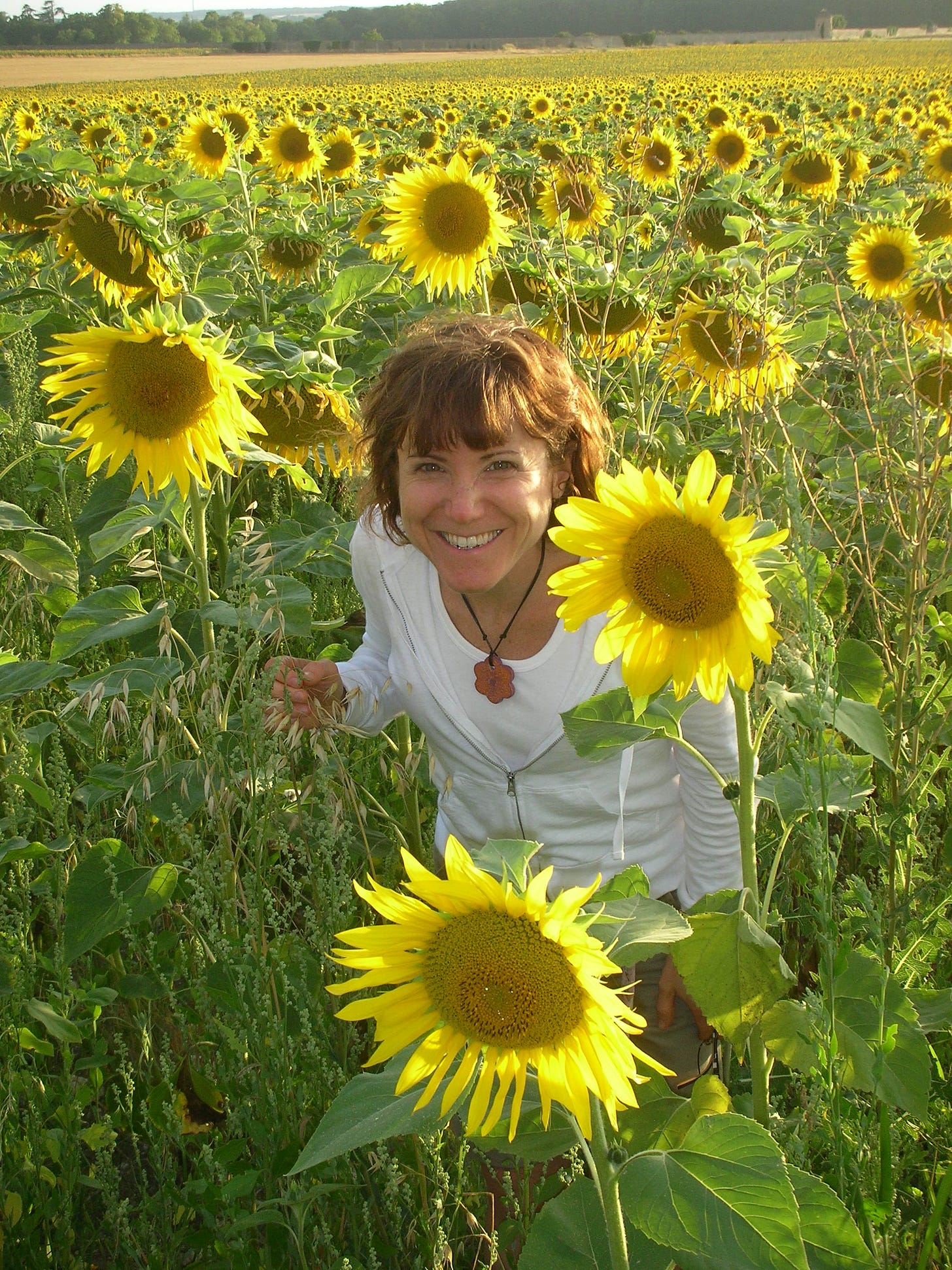Rebecca is a woman with short brown hair and a white tshirt who stands in the middle of a sunflower field