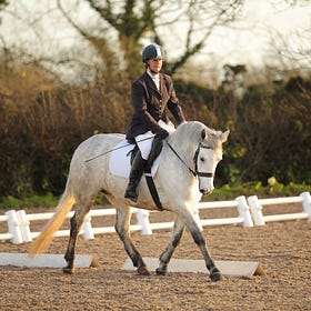 Super tests ridden at penultimate leg of Gransha dressage league