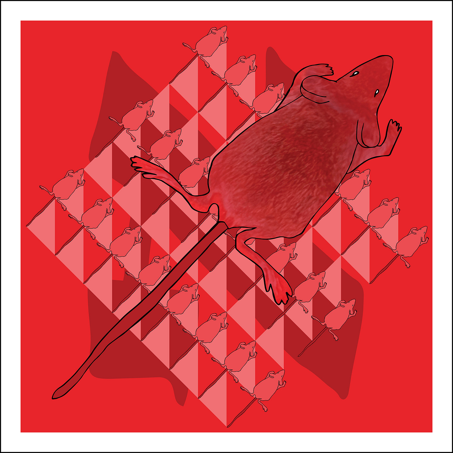 01. Red Red Rainbow Squared Card, Series Six. An illustration of a giant mouse with tail pointed from left bottom and head pointed to right top and a photo of fur visible through it, and twenty four smaller mice of the same outline line three rows of a checkerboard with 49 squares that are each divided in half diagonally with one pink triangle exposed. There is a giant Hebrew letter aleph underneath the checkerboard.