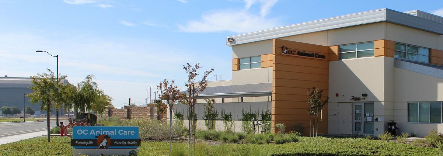 OC Animal Care | OC Animal Care