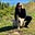Gretchen McGowan's avatar